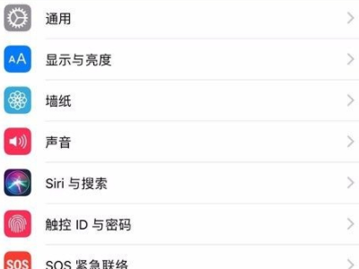 苹果手机引导式访问怎么用第2步