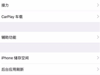 苹果手机引导式访问怎么用第3步