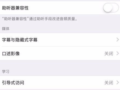 苹果手机引导式访问怎么用第4步