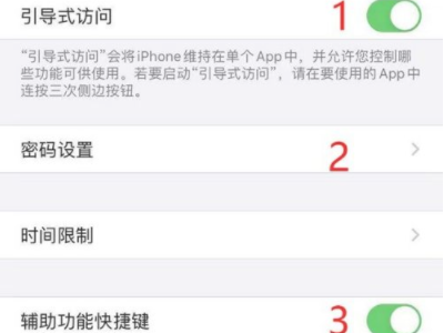 苹果手机引导式访问怎么用第5步
