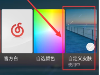网易云怎么换全屏背景第3步