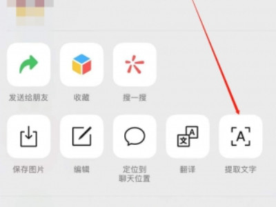 苹果怎么图片识别成文字第3步
