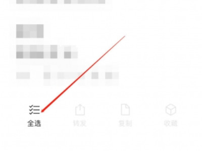 苹果怎么图片识别成文字第4步