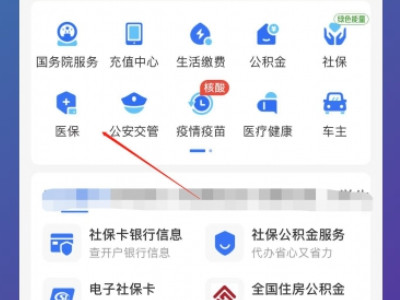 在手机上交医保怎么查询有没有交第2步