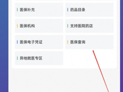 在手机上交医保怎么查询有没有交第4步