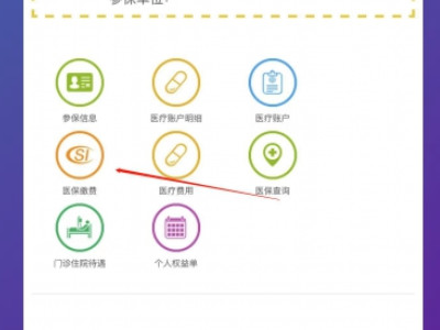 在手机上交医保怎么查询有没有交第5步