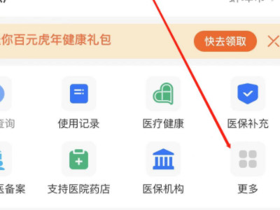 在手机上交了医保怎么查询第3步