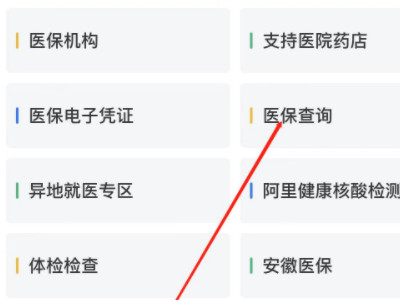 在手机上交了医保怎么查询第4步