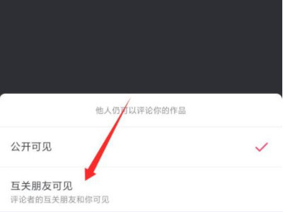 抖音怎么不让别人看到我的评论第6步