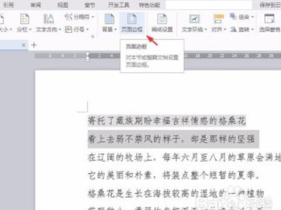 文字设置底纹在哪里设置的第2步