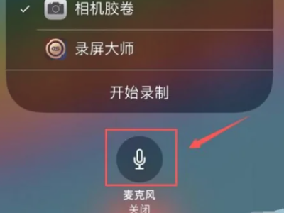 苹果录屏打电话能录吗第3步