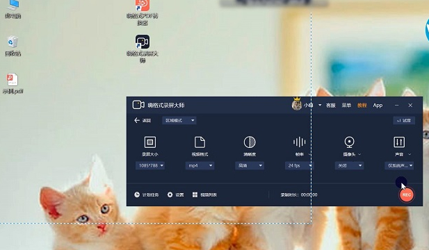 录屏怎么截取一半画面第4步