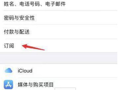 苹果12怎么取消订阅自动续费第3步