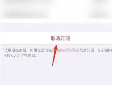 苹果12怎么取消订阅自动续费第4步