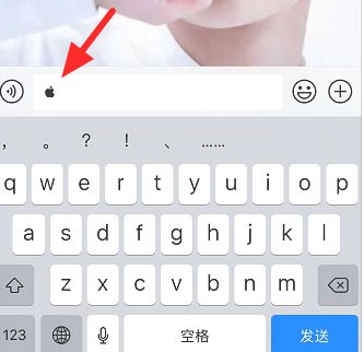 苹果手机标识第5步