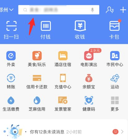 网上怎么查农保缴费记录第1步