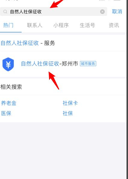 网上怎么查农保缴费记录第2步