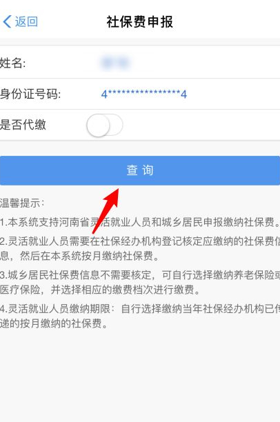 网上怎么查农保缴费记录第4步