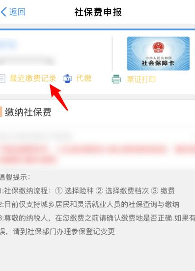 网上怎么查农保缴费记录第5步