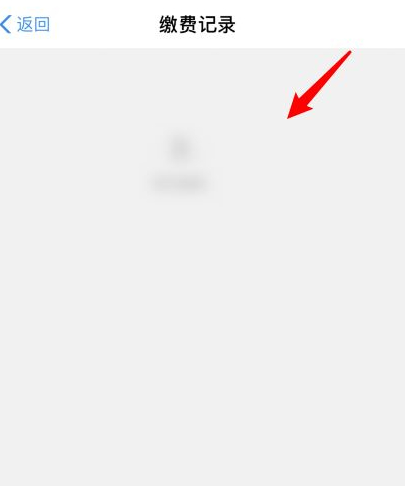 网上怎么查农保缴费记录第6步