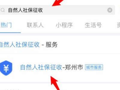 网上怎样查自己的农保第2步