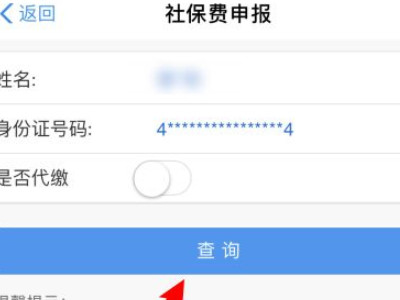 网上怎样查自己的农保第4步