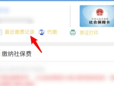 网上怎样查自己的农保第5步