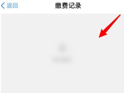 网上怎样查自己的农保第6步