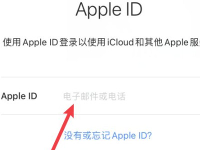 苹果手机怎么登陆id账号第3步