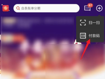 实体店怎么用京东白条付款第2步
