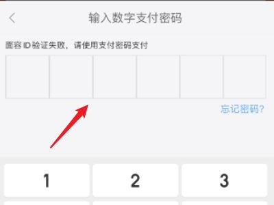 实体店怎么用京东白条付款第4步