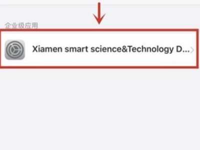 苹果手机授权管理在哪设置信任第3步