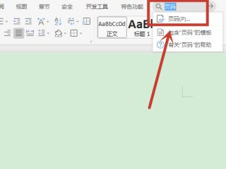 页码怎么设置不同的页码第2步