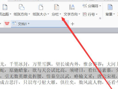 文字分两栏怎么设置第3步
