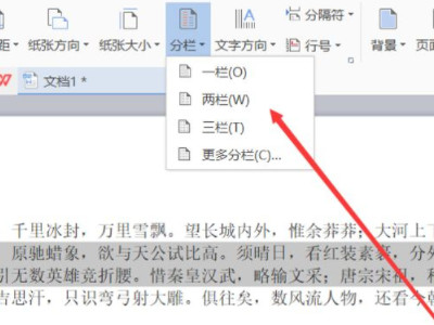 文字分两栏怎么设置第4步