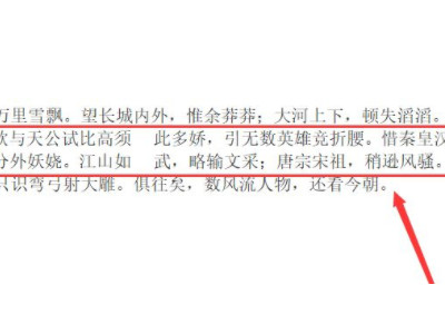 文字分两栏怎么设置第5步