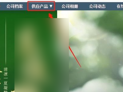 1688一件代发详细步骤第5步