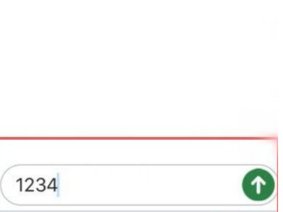 苹果怎么用副号发短信第6步