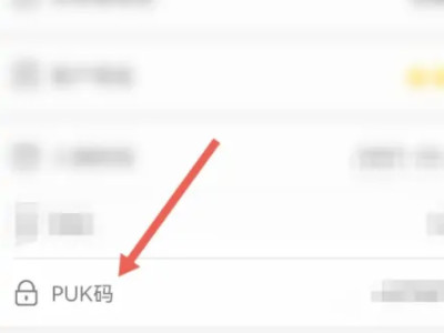 移动puk原始密码8位数查询第4步