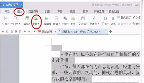 word文字环绕效果怎么设置第2步
