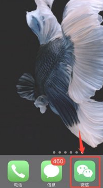 微信怎么办理进京证第1步