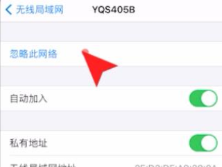 苹果手机有信号没有网络怎么回事第2步