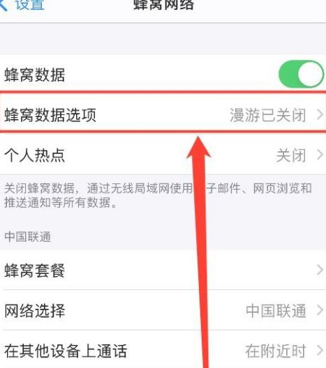 苹果怎么设置5g网络第2步