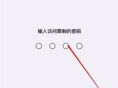 苹果手机微信锁怎么设置第3步