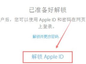 手机id被锁定了怎么解锁第5步