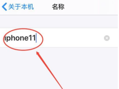 苹果设备名称在哪里改第4步