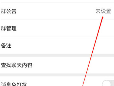 群公告怎么发第4步