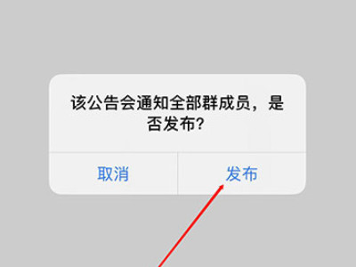 群公告怎么发第6步