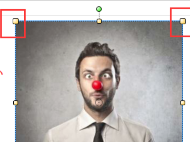 pdf图片怎么调大小第4步