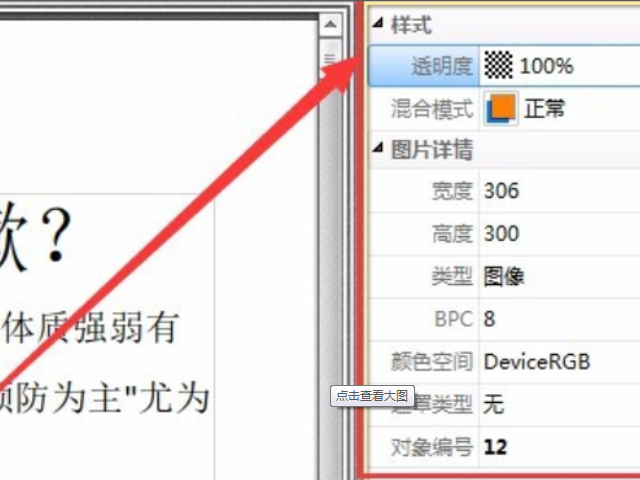pdf图片怎么调大小第5步